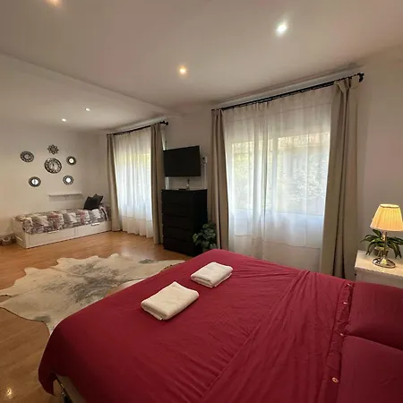 Mar169 Barcelona